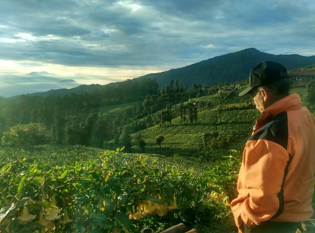 Bromo Otix Guest House Экстерьер фото
