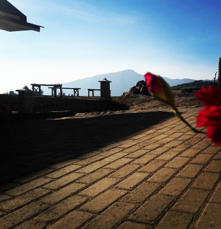 Bromo Otix Guest House Экстерьер фото